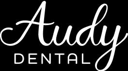 audy logo